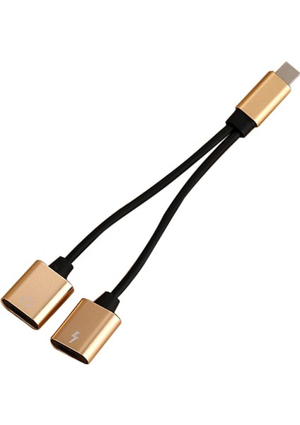 Altın İçin 2 x Protable Çift Jack Kulaklık Ses Şarjı Adaptörü (Yurt Dışından)
