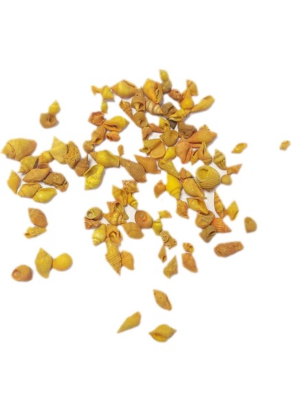 Deniz Kabuğu - Turuncu 25 gr