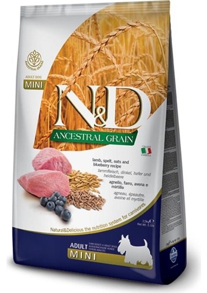 Ancestral Grain Kuzu Etli Yaban Mersinli Küçük Irk Ata Tahıllı Yetişkin Köpek Maması 7kg