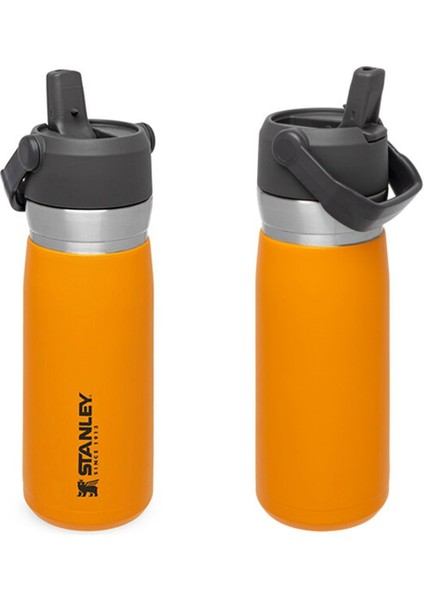 Go Iceflow Pipetli Paslanmaz Çelik Soğuk Su Termosu 0.65 Lt - Sarı