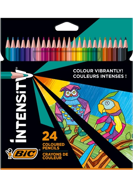 Color Up  Intensity Üçgen Kuru Boya 24 Renk