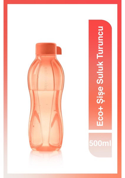 Eco+ Şişe Suluk 500 ml Turuncu