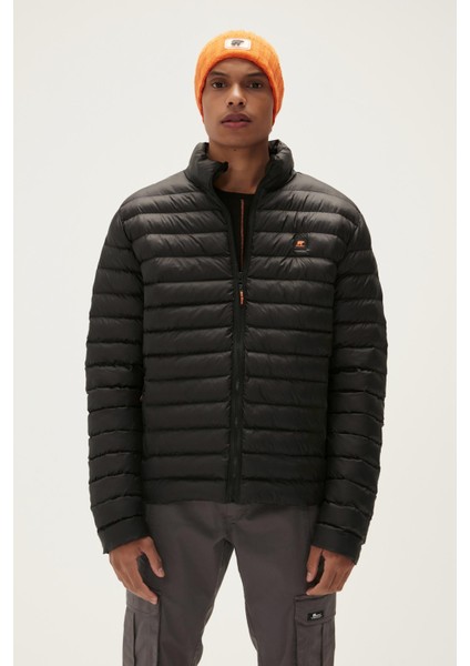 Archer Puffer Night