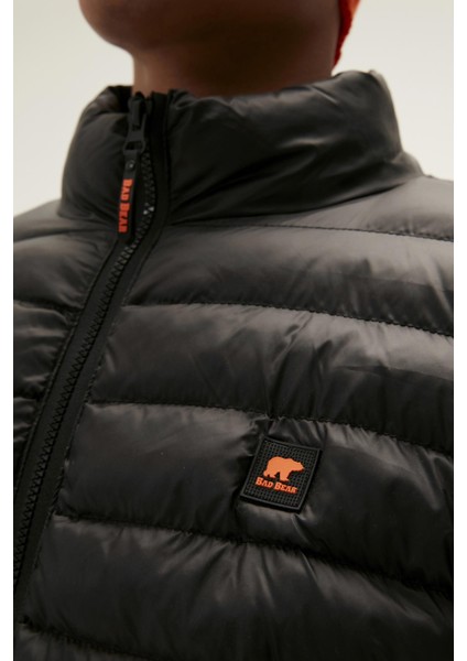Archer Puffer Night