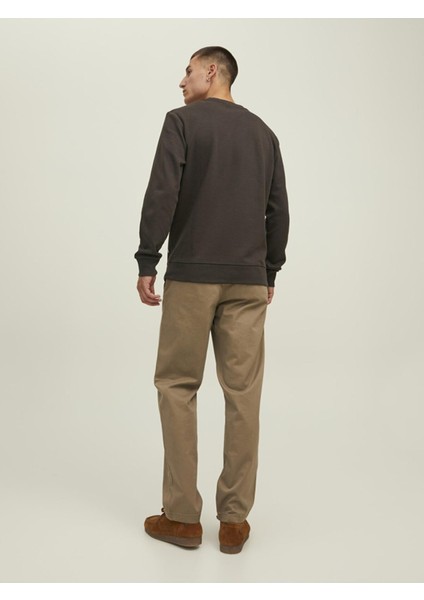 Jjebasıc Sweat Crew Neck Noos - Reg modelleri