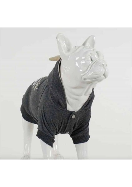 Club North Deer Antrasit Köpek Sweatshirtü indirimleri