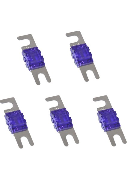 5 Adet Mini Anl Cıvatalı Çatal Ses Devre Kesici - 100A (Yurt Dışından)