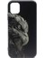 iPhone 11 Kılıf Liquid Renkli Kartal Resimli Siyah Kapak 1