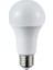 CT-4266 12 Watt LED Ampul Beyaz 2