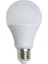 CT-4266 12 Watt LED Ampul Beyaz 3