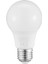E27 LED Lamba 8.5W 765LM 2700K 3