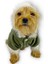 Furry Cream Kapşonlu Ceket Sweat By Kemique Köpek Kazağı 2