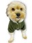 Furry Cream Kapşonlu Ceket Sweat By Kemique Köpek Kazağı 4