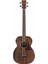 PCBE12MH-OPN Open Pore Natural Elektro Akustik Bas Gitar 1