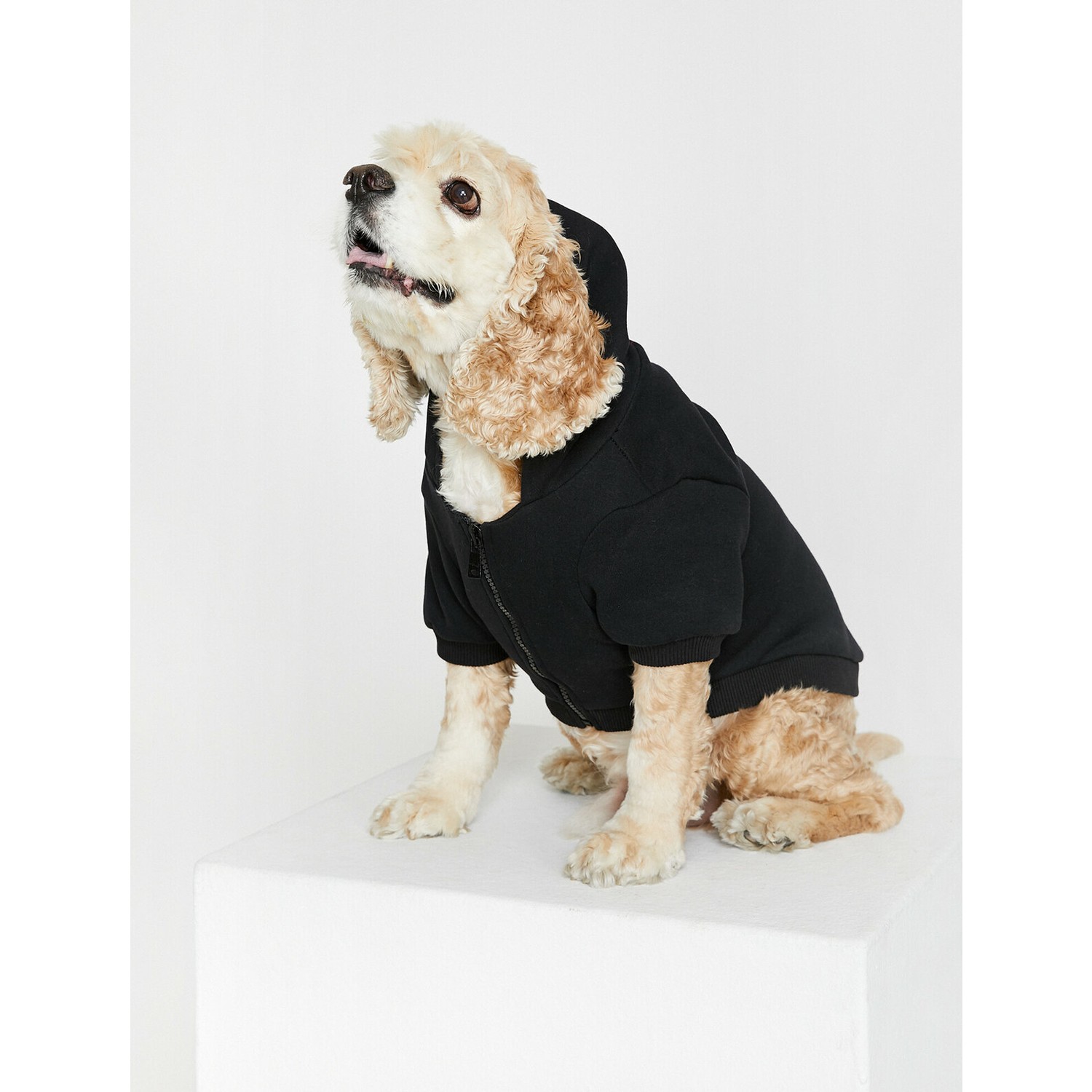 Koton Fermuar Detaylı Köpek Sweatshirt Fiyatı Taksit Seçenekleri