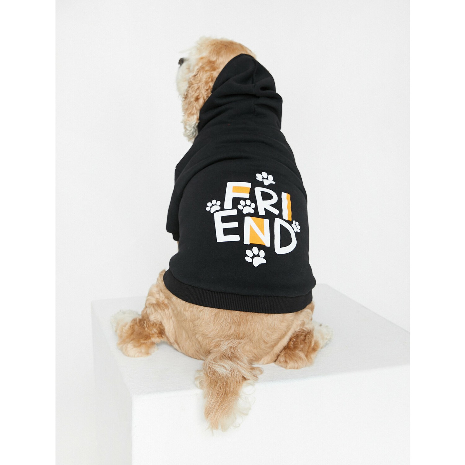 Koton Fermuar Detaylı Köpek Sweatshirt Fiyatı Taksit Seçenekleri