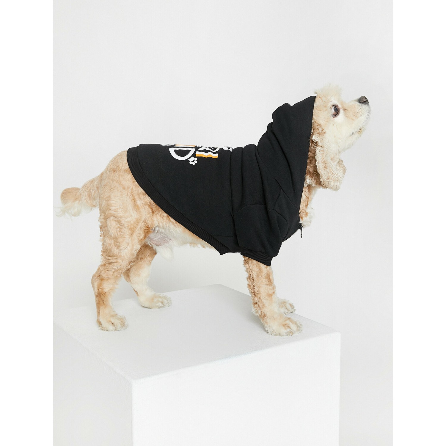 Koton Fermuar Detaylı Köpek Sweatshirt Fiyatı Taksit Seçenekleri