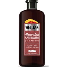 Wellmax Şampuan Yeni Formül Kudret Narı Özlü 500ML