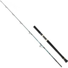 Daiwa Grandwave 1.99M 220GR. 2p Slow Jig Olta Kamışı