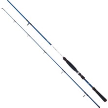 Daiwa Spitfire Seabass 2.40M 7-28GR 2p Spin Olta Kamışı