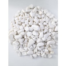 Bio Aquatic Ekodoğa Beyaz Dolomit Taşı 4 kg 1,5 - 2,5 cm Bahçe Taşı Dekoratif Taş Dere Taşı Dolomite Doğal Taş Beyaz Süs Taşları