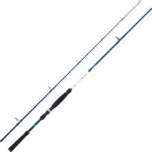 Daiwa Spitfire Seabass 240CM 7-28GR 2 Parça Spin Olta Kamışı