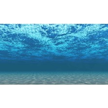 Kanki Pet KP7045008 Akvaryum Arka Fon Yapıştırma