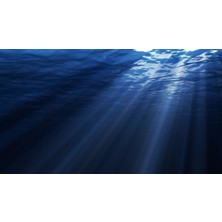 Kanki Pet KP8550007 Akvaryum Arka Fon Yapıştırma