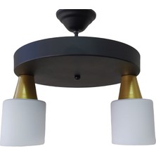 Riolight Modern.retro,rustik Siyah ikili Opal Camlı metal gövde Sarkıt avize Çap:30cm