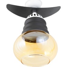 Lambadar Tekli Modern Tarz Kayık Model Metal Camlı Sarkıt Avize