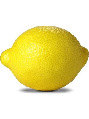 Fidan Sahası Tüplü Lamas Limon 2 Yaş Boy 90 - 110 cm