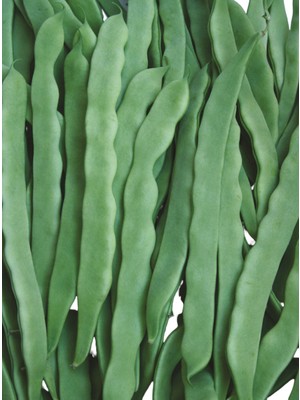 Fide Sepeti Fasulye Tohumu (Elda-Çalı) 2Kg 1 Paket