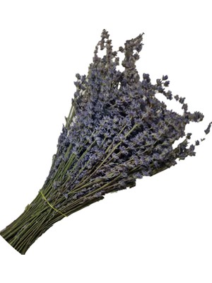 Ispartamdan  Lavanta Demeti Mor