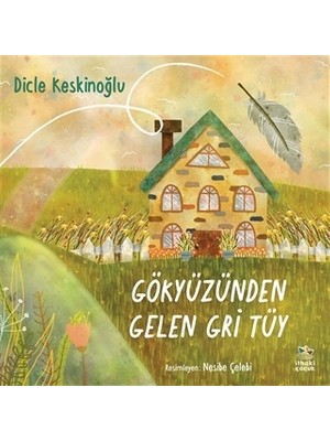 Gökyüzünden Gelen Gri Tüy - Dicle Keskinoğlu