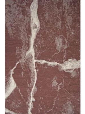 Diji Dekor Dekoratif Dijital Saçaklı Halı Yıkanabilir Antialaerjik Granit Kahve 180 x 300 cm