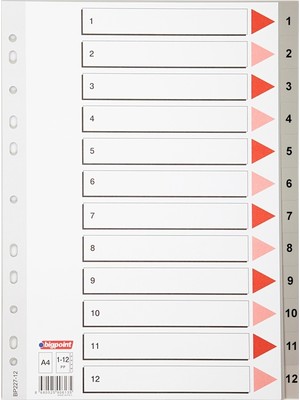 Bigpoint PP Seperatör 1-12 Rakamlı 25'li Kutu