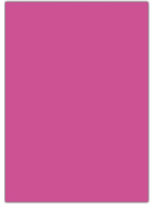 Bigpoint Fosforlu Fon Kartonu 50x70cm Pembe 50'li Paket
