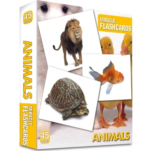 MK Publications Miracle Flashcards: Domestic Animals