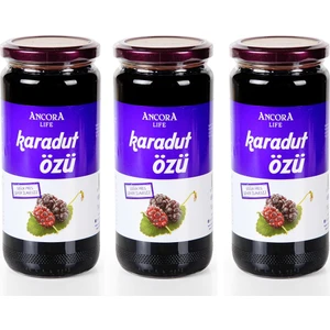Ancora Life Karadut Özü 640 gr 3'lü Paket