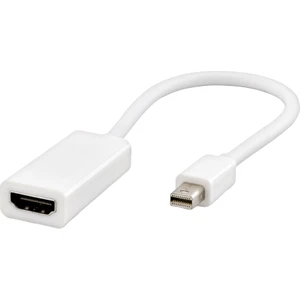 HD4324/150 Mını Dısplay To HDMI Çevirici