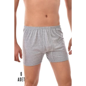 6 Adet Seher Erkek Arjantin Boxer Gri 0006