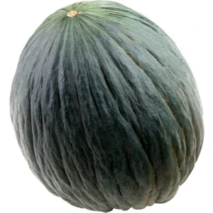 Serdar Çam Tohumculuk Kışlık Hasanbey Kavun Tohumu 15'li