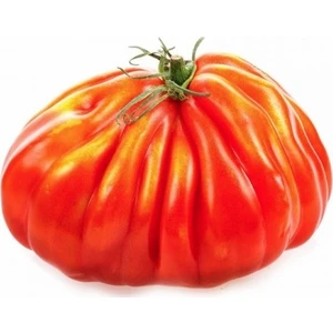 Serdar Çam Tohumculuk Nadir Antik Domates Tohumu 10'lu