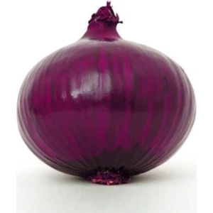 Serdar Çam Tohumculuk Nadir Mor Soğan Tohumu 100'lü