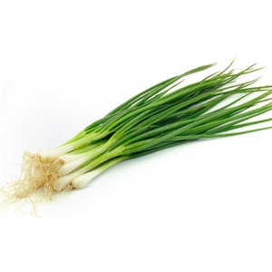 Serdar Çam Tohumculuk Taze Firik Yeşil Soğan Tohumu 50'li