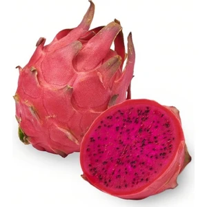 Serdar Çam Tohumculuk Tropikal Kırmızı Pitaya Meyvesi Tohumu 10'lu