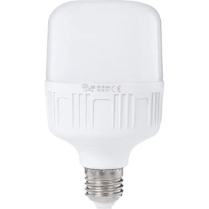 Blue Light 30 W Torch Led Ampul Beyaz Işık