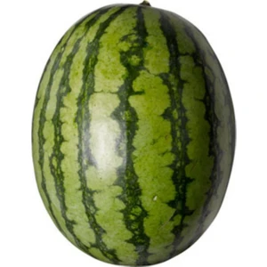 Serdar Çam Tohumculuk Adana Karpuz Tohumu 5'li