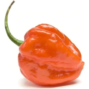 Serdar Çam Tohumculuk Çok Acı Habanero Biberi Tohumu 5'li