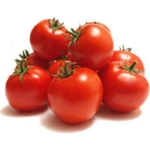 Serdar Çam Tohumculuk İtalyan Domates Ağacı Tohumu Eko Paket 35'li